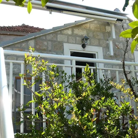 Eco Kate * Sudurad